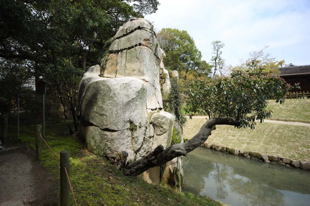 fotografia, material, livra, ajardine, imagine, proveja fotografia,Koraku-en Garden pedra de luta, telhado palha-colmado, shoji, quarto de ch-cerimnia, Edifcio japons