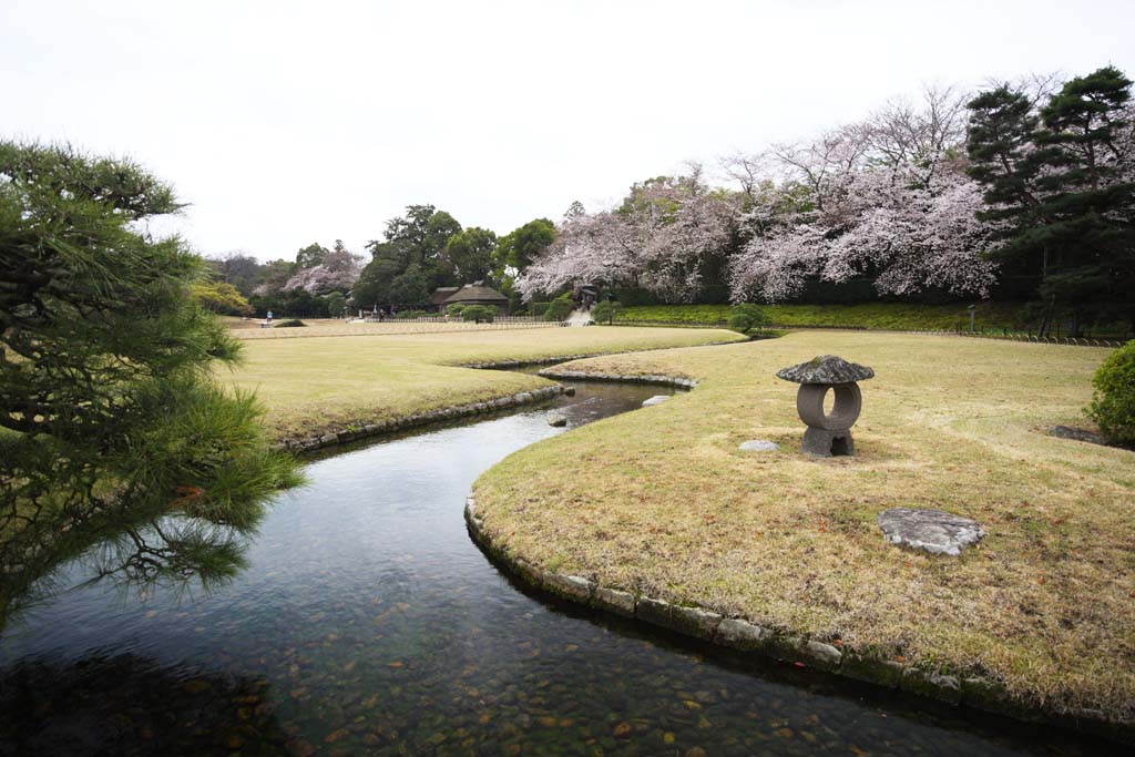 Foto, materiell, befreit, Landschaft, Bild, hat Foto auf Lager,Koraku-en Garden-Bach, Wasserstrae, Kiefer, Kirschenbaum, Japanisch grtnert