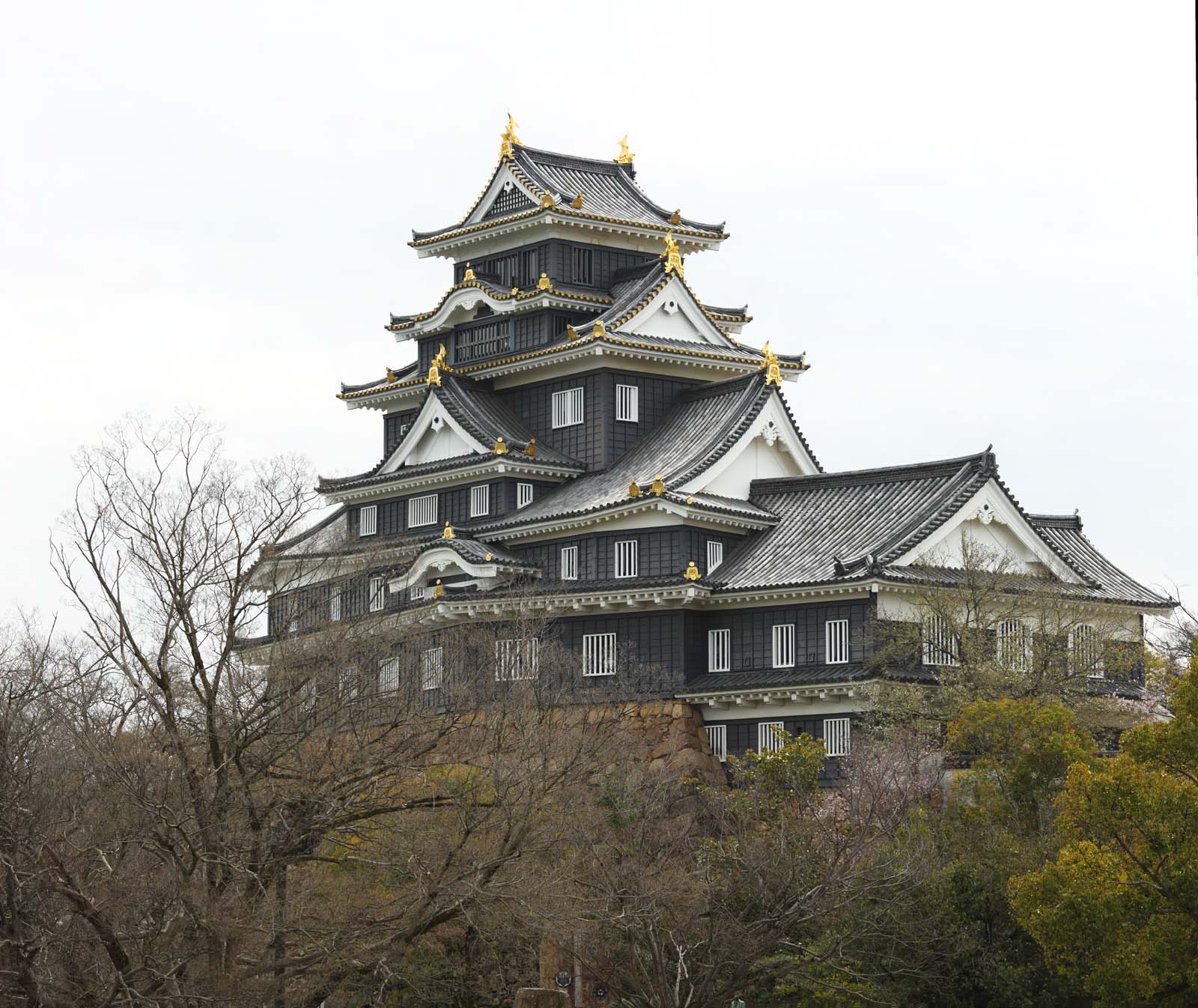 fotografia, materiale, libero il panorama, dipinga, fotografia di scorta,Okayama-jo il Castello, castello, La torre di castello, Castello di corvo, 