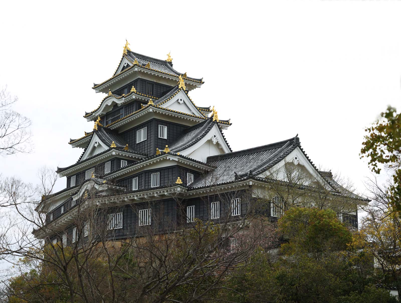 foto,tela,gratis,paisaje,fotografa,idea,Castillo de Okayama - jo, Castillo, La torre de castillo, Castillo de Crow, 