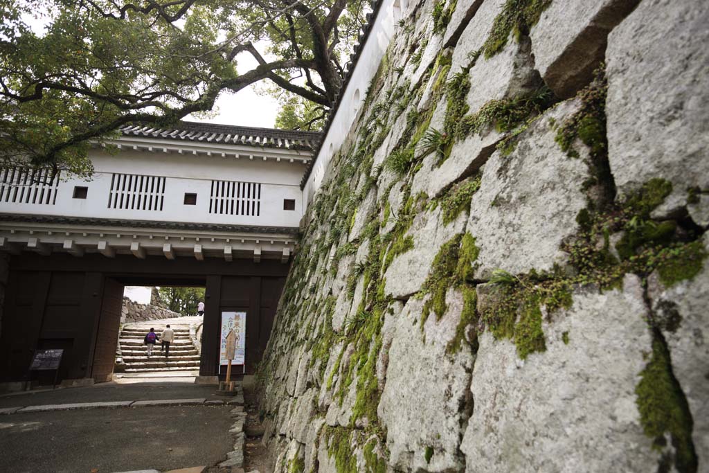 fotografia, materiale, libero il panorama, dipinga, fotografia di scorta,L'Okayama-jo cancello di corridoio di Castello, castello, cancello di castello, Castello di corvo, 
