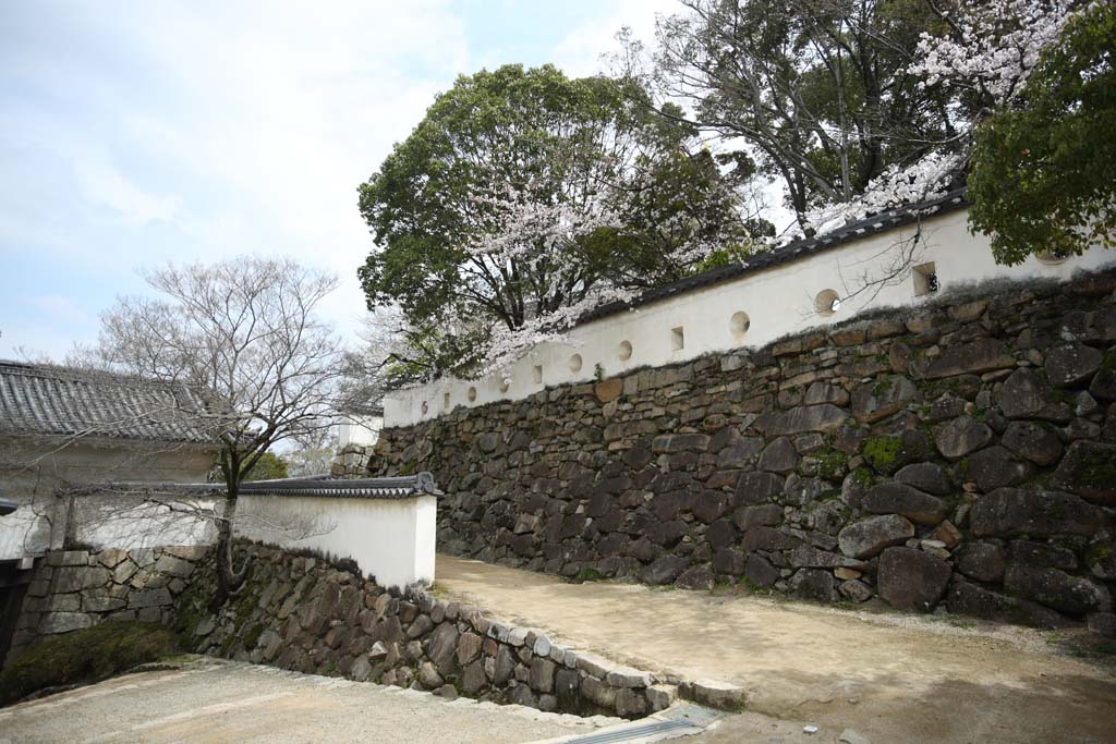 fotografia, material, livra, ajardine, imagine, proveja fotografia,Okayama-jo parede de castelo de Castelo, castelo, Ishigaki, Castelo de corvo, 