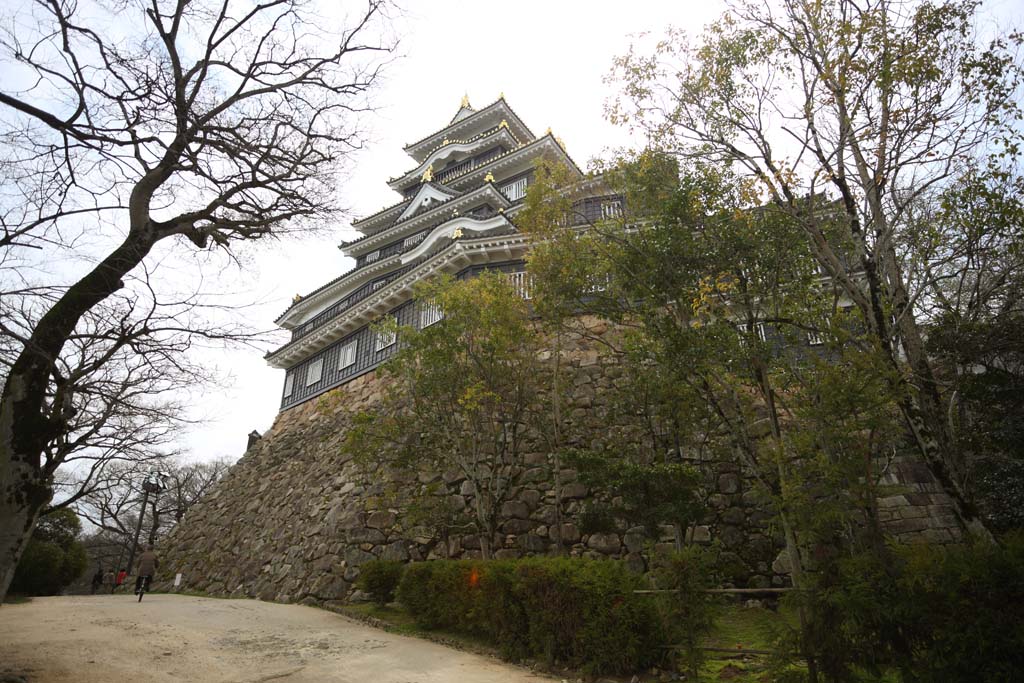 Foto, materieel, vrij, landschap, schilderstuk, bevoorraden foto,Okayama-jo Kasteel, Kasteel, Het kasteel toren, Kraai Kasteel, 