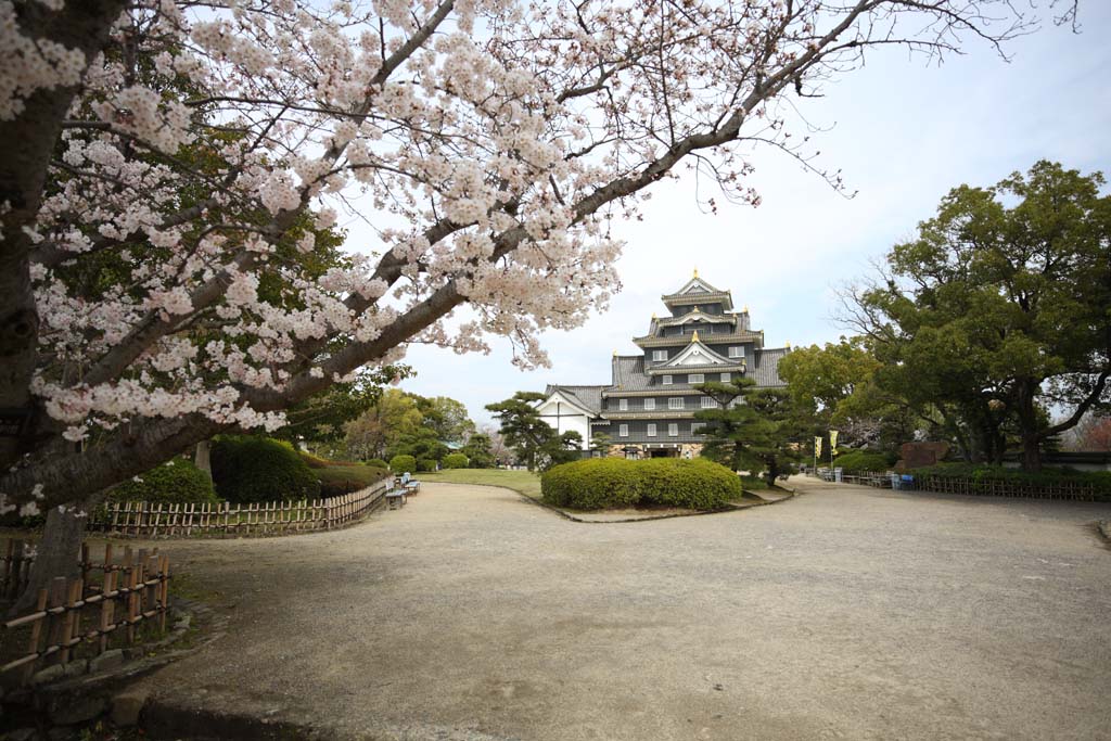 Foto, materieel, vrij, landschap, schilderstuk, bevoorraden foto,Okayama-jo Kasteel, Kasteel, Het kasteel toren, Kraai Kasteel, 