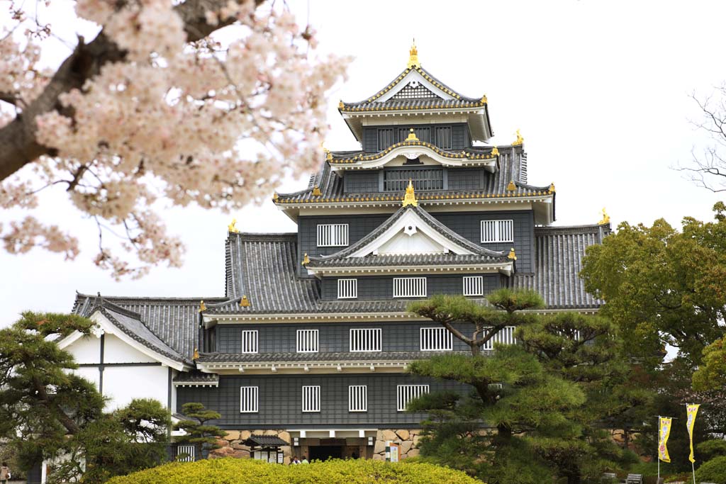 fotografia, material, livra, ajardine, imagine, proveja fotografia,Okayama-jo Castelo, castelo, A torre de castelo, Castelo de corvo, 