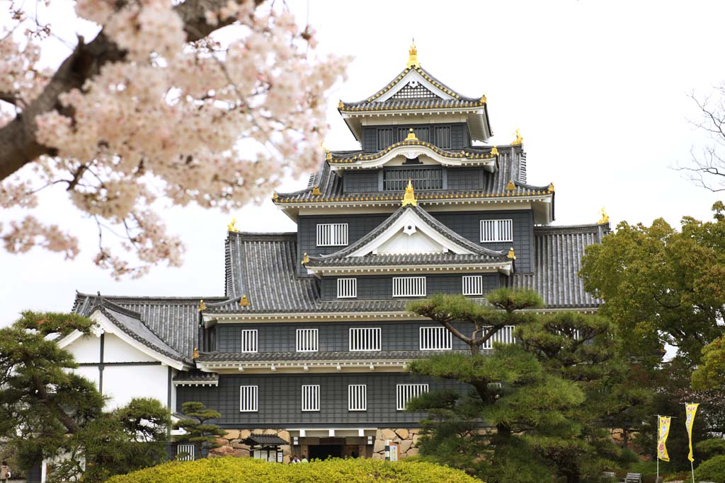 photo,material,free,landscape,picture,stock photo,Creative Commons,Okayama-jo Castle, castle, The castle tower, Crow Castle, 