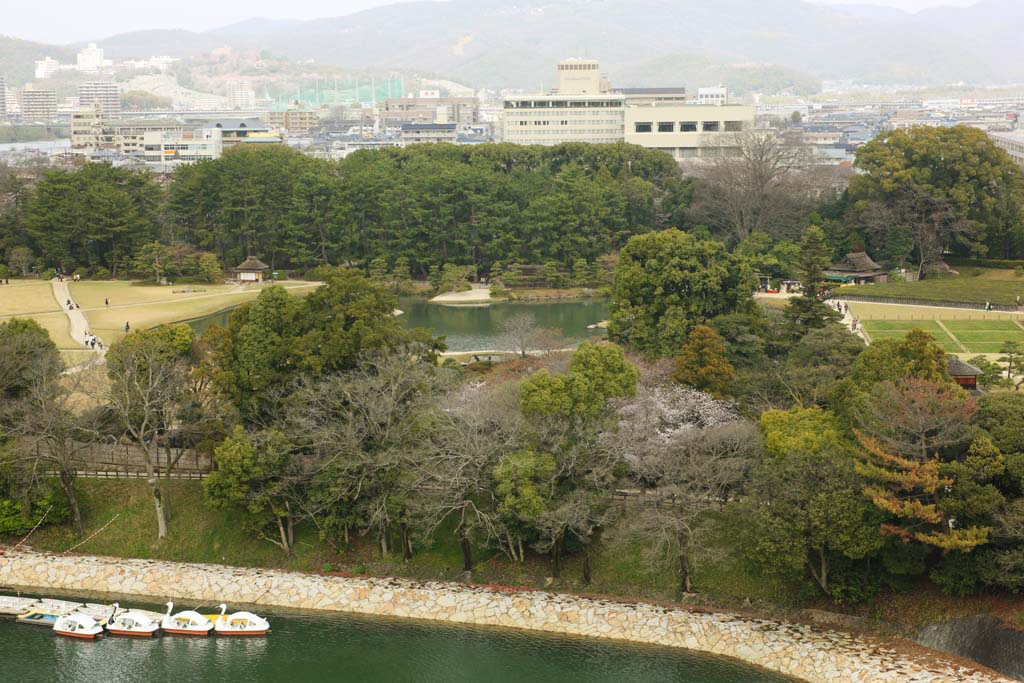 photo,material,free,landscape,picture,stock photo,Creative Commons,Koraku-en Garden, pond, river, cherry tree, Japanese garden