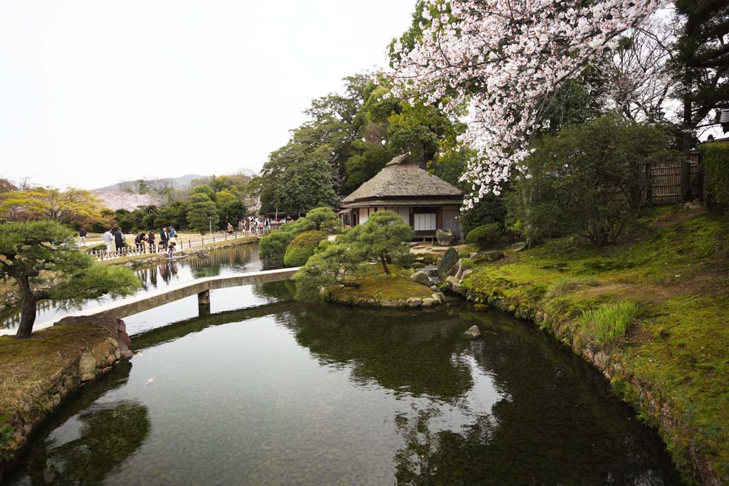 photo, la matire, libre, amnage, dcrivez, photo de la rserve,Koraku-en Jardin, shoji, Btiment du Japonais-style, toit paille-de chaume, carpe