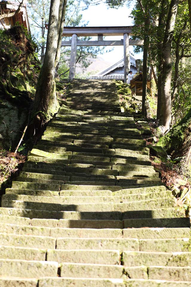 fotografia, material, livra, ajardine, imagine, proveja fotografia,Veneno de rato arsnico de Iwami-prata-mina Santurio de Sahimeyama, apedreje escada, torii, Mt. Sanbe-san, Deus monts