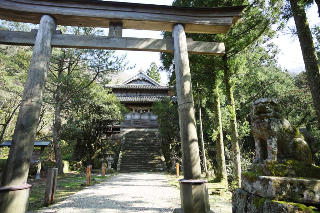 photo, la matire, libre, amnage, dcrivez, photo de la rserve,Poison du rat arsenical d'Iwami-argent-mine Temple Sahimeyama, escalier de pierre, Feston de la paille shintoste, Mt. Sanbe-san, Dieu de montagne