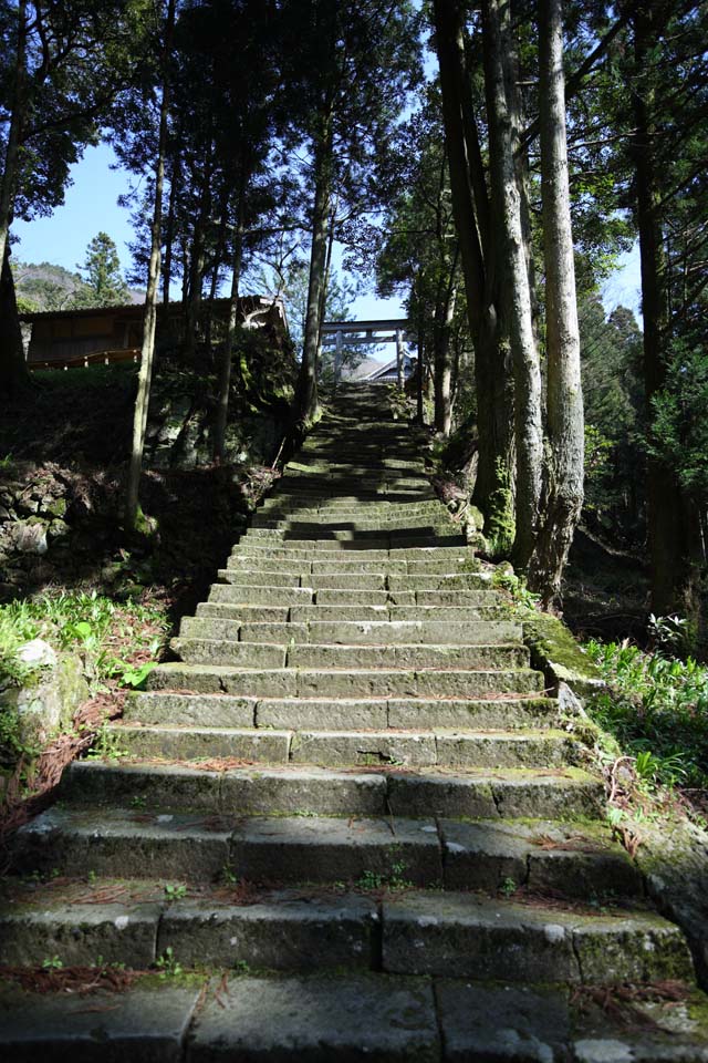 Foto, materiell, befreit, Landschaft, Bild, hat Foto auf Lager,Arsenhaltiges Rattengift von Iwami-Silber-Gruben-Sahimeyama-Schrein, steinigen Sie Treppe, torii, Mt. Sanbe-san, Gebirgsgott