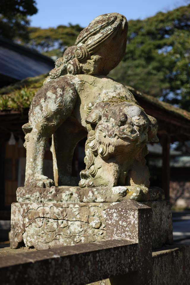 Foto, materiell, befreit, Landschaft, Bild, hat Foto auf Lager,Matsue-jo Burgpaar von Steinhterhunden, Schintoistischer Schrein, hchst Hund, Schintoismus, steinigen Sie Statue