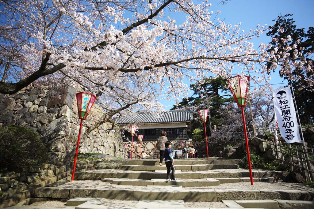 photo, la matire, libre, amnage, dcrivez, photo de la rserve,Matsue-jo Chteau, arbre de la cerise, escalier de pierre, chteau, Ishigaki