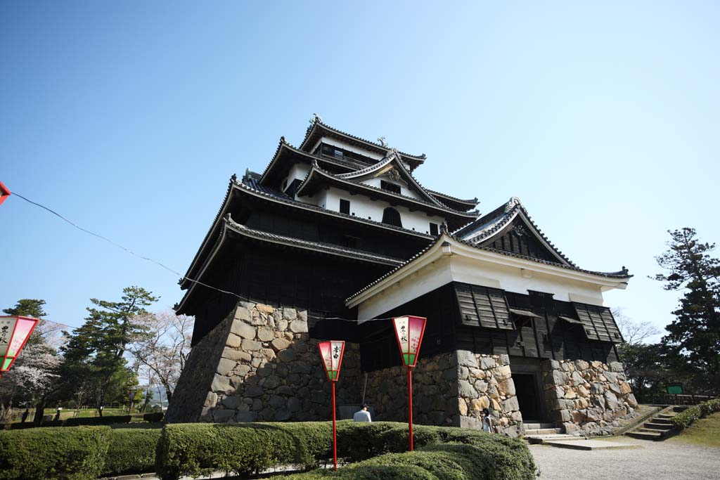 Foto, materiell, befreit, Landschaft, Bild, hat Foto auf Lager,Das Matsue-jo Burgburgturm, Kiefer, Drngen-Steine, Burg, Ishigaki