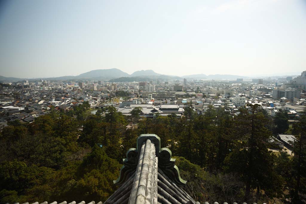 photo,material,free,landscape,picture,stock photo,Creative Commons,The Matsue city, roof tile, building, pine, blue sky