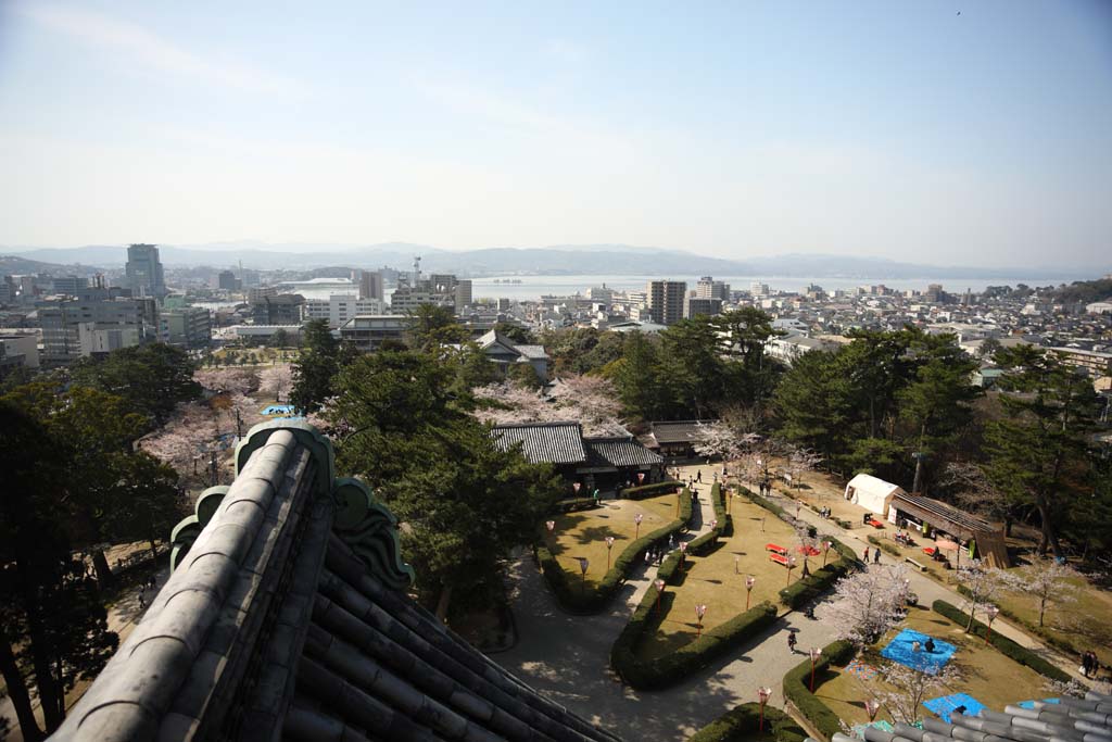 foto,tela,gratis,paisaje,fotografa,idea,La ciudad de Matsue, Azulejo de techo, Edificio, Pino, Cielo azul