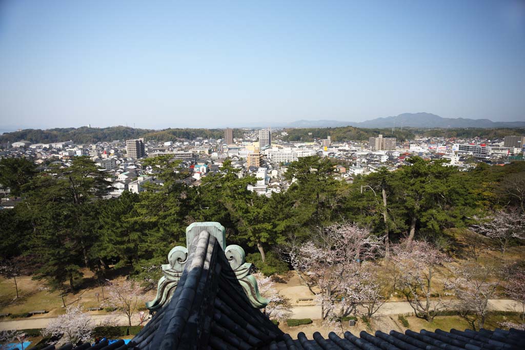 foto,tela,gratis,paisaje,fotografa,idea,La ciudad de Matsue, Azulejo de techo, Edificio, Pino, Cielo azul