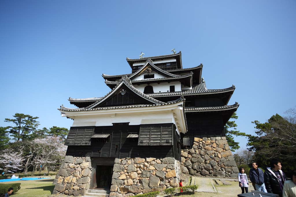 Foto, materiell, befreit, Landschaft, Bild, hat Foto auf Lager,Das Matsue-jo Burgburgturm, Kiefer, Drngen-Steine, Burg, Ishigaki