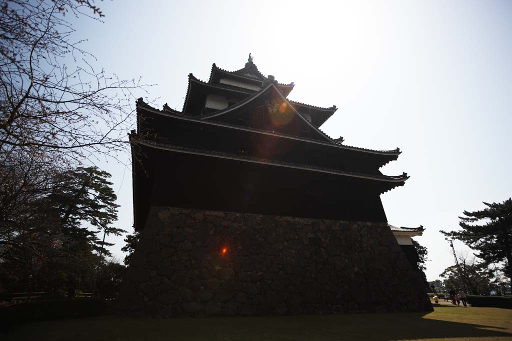 Foto, materiell, befreit, Landschaft, Bild, hat Foto auf Lager,Das Matsue-jo Burgburgturm, Kiefer, Drngen-Steine, Burg, Ishigaki