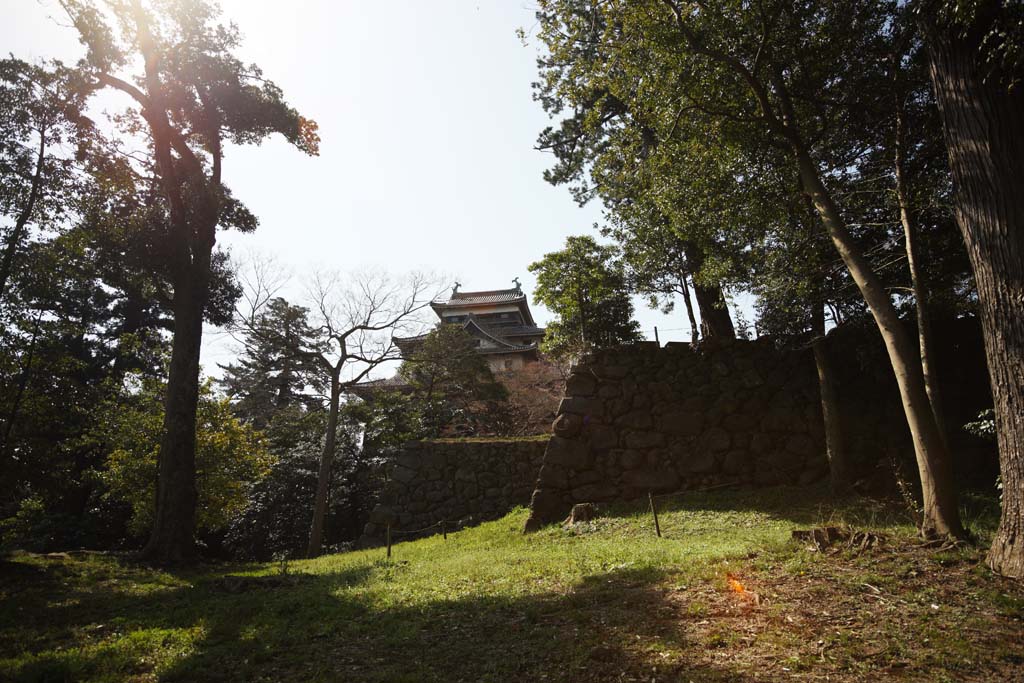 foto,tela,gratis,paisaje,fotografa,idea,La torre de castillo de castillo de Matsue - jo, Pino, Cimentacin con pilotes - piedras, Castillo, Ishigaki