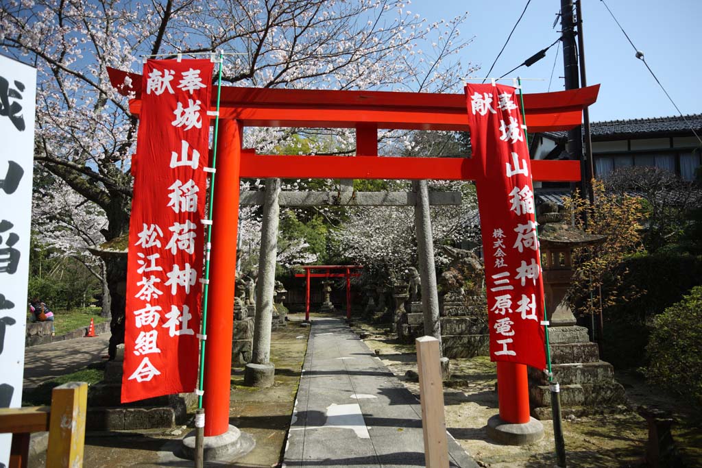 Foto, materiell, befreit, Landschaft, Bild, hat Foto auf Lager,Shiroyama Inari-Schrein, torii, Schintoistischer Schrein, steinigen Sie Laterne, Schintoismus