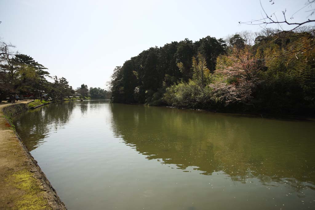 , , , , ,  .,Matsue-jo , Sightseeing , , moat, Ishigaki