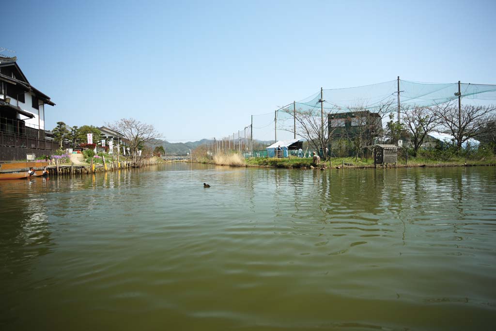 photo, la matire, libre, amnage, dcrivez, photo de la rserve,Matsue-jo foss de Chteau, Visiter des sites pittoresques bateau, bateau, foss, canard