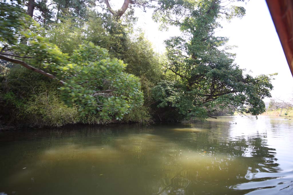 Foto, materieel, vrij, landschap, schilderstuk, bevoorraden foto,Matsue-jo Kasteel moat, Bezoekende touristenplaats schip, Schip, Moat, Boom