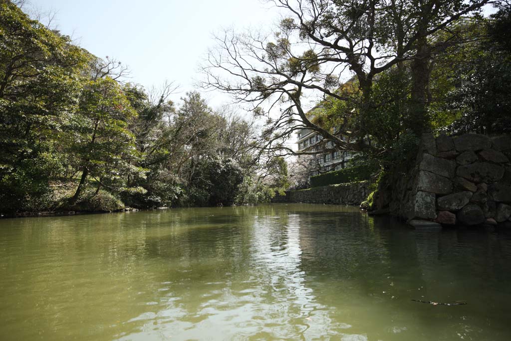 Foto, materiell, befreit, Landschaft, Bild, hat Foto auf Lager,Matsue-jo Burgwassergraben, Das Besichtigen von Schiff, Schiff, Wassergraben, Baum