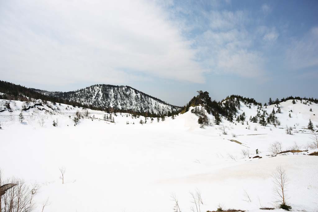 fotografia, material, livra, ajardine, imagine, proveja fotografia,Kusatsu Mt. Shirane campo nevado, rvore, cu azul, montanha alta, Forma de uma rvore