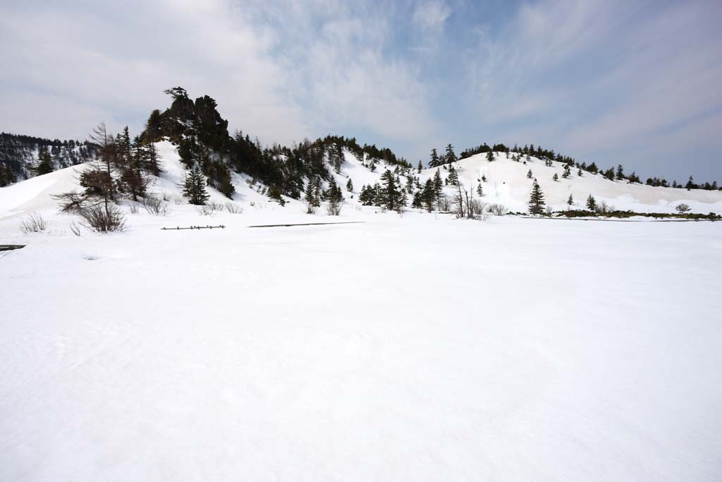 photo,material,free,landscape,picture,stock photo,Creative Commons,Kusatsu Mt. Shirane snowy field, tree, blue sky, high mountain, Shape of a tree