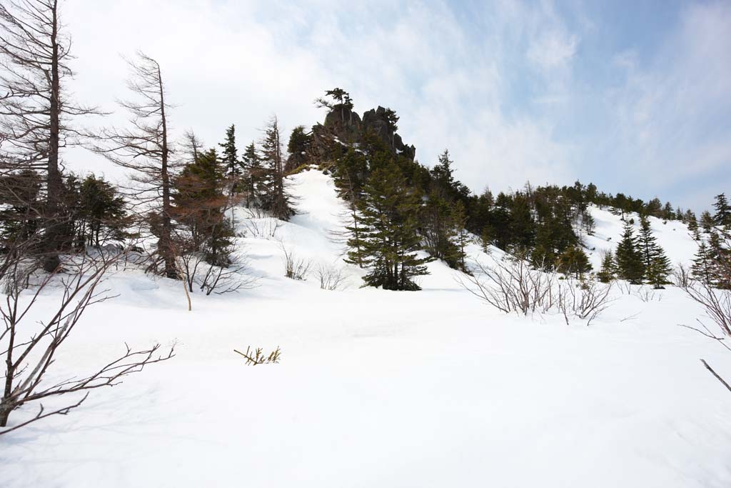 foto,tela,gratis,paisaje,fotografa,idea,(capseq). Shirane cubierto de nieve campo, rbol, Cielo azul, Montaa alta, Forma de un rbol