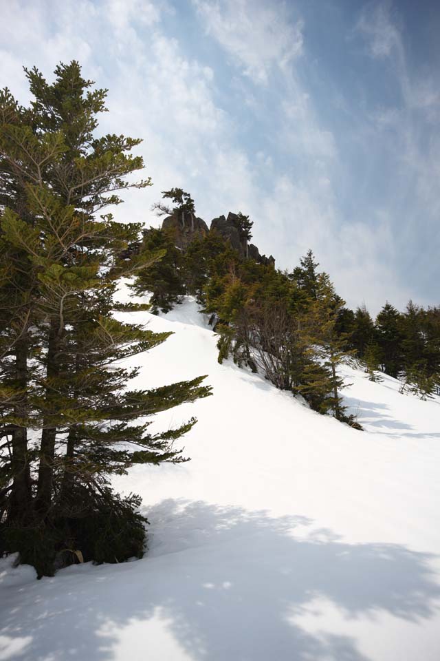 photo, la matire, libre, amnage, dcrivez, photo de la rserve,Kusatsu Mt. Shirane champ neigeux, arbre, ciel bleu, haute montagne, Forme d'un arbre