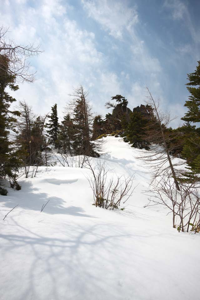 Foto, materieel, vrij, landschap, schilderstuk, bevoorraden foto,Kusatsu Mt. Shirane besneeuwd veld, Boom, Blauwe lucht, Hoge berg, Gedaante van een boom