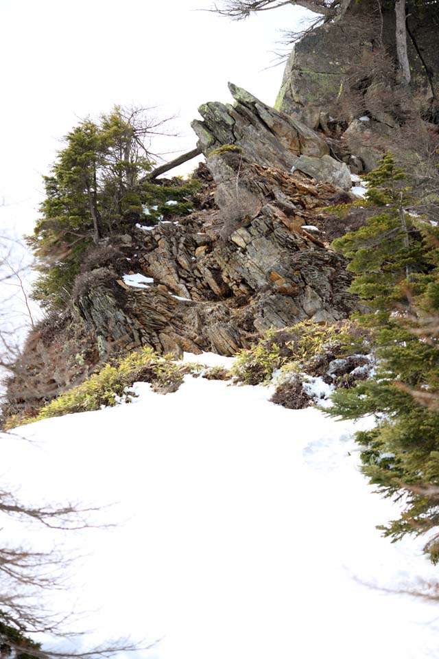 foto,tela,gratis,paisaje,fotografa,idea,(capseq). Shirane cubierto de nieve campo, rbol, Cielo azul, Montaa alta, Forma de un rbol