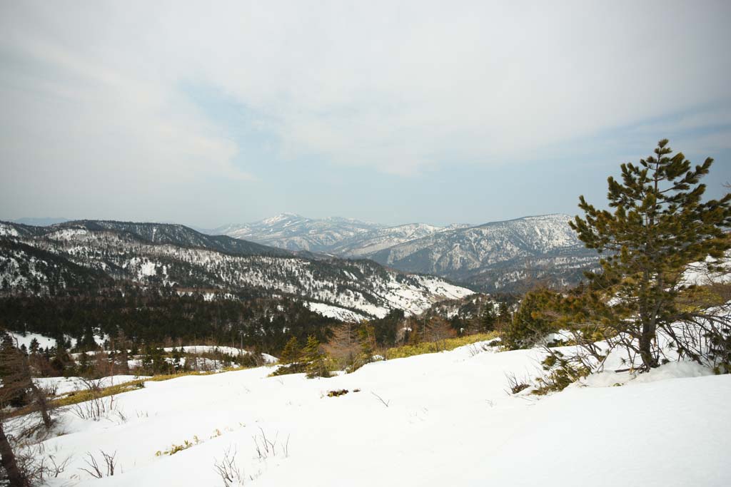 Foto, materieel, vrij, landschap, schilderstuk, bevoorraden foto,Kusatsu Mt. Shirane besneeuwd veld, Boom, Blauwe lucht, Hoge berg, Gedaante van een boom