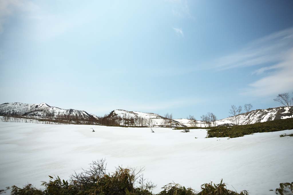 Foto, materieel, vrij, landschap, schilderstuk, bevoorraden foto,Kusatsu Mt. Shirane besneeuwd veld, Boom, Blauwe lucht, Hoge berg, Gedaante van een boom