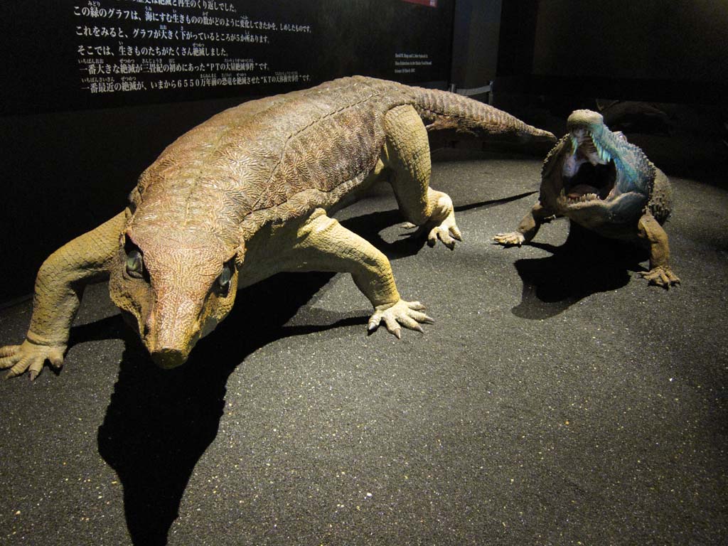 Foto, materieel, vrij, landschap, schilderstuk, bevoorraden foto,Het model van de dinosaurus, Wedstrijd, Dinosaurus, Ferocity, Het oeroude voudig