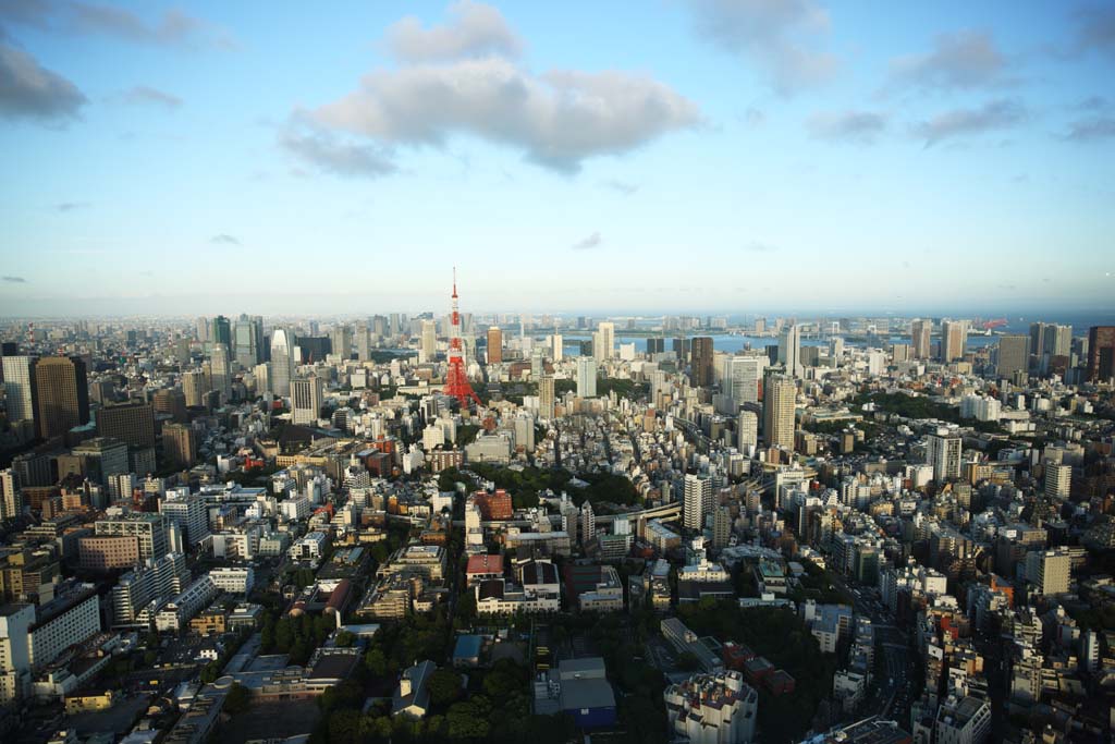 Foto, materieel, vrij, landschap, schilderstuk, bevoorraden foto,Tokio heel uitzicht, Tokio Toren, Hoogbouw, Tokio Baai, De benedenstad wijk