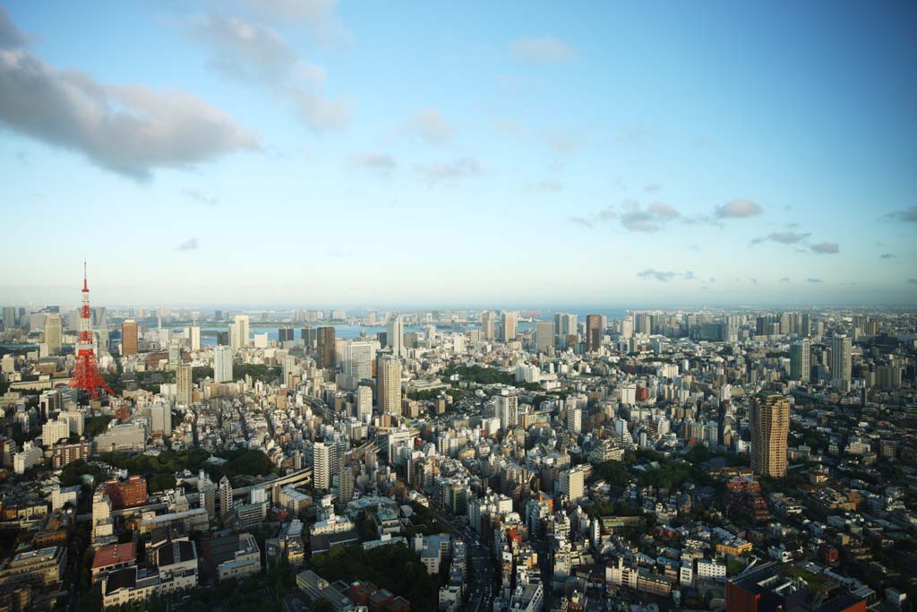 foto,tela,gratis,paisaje,fotografa,idea,Tokio entero opinin, Tokyo Tower, Edificio alto, Baha de Tokio, La rea del centro de la ciudad