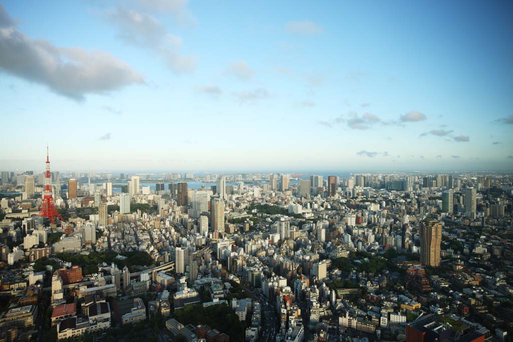 photo,material,free,landscape,picture,stock photo,Creative Commons,Tokyo whole view, Tokyo Tower, high-rise building, Tokyo Bay, The downtown area