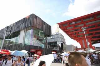 foto,tela,gratis,paisaje,fotografa,idea,Edificio de Hong Kong de exposicin de mundo de Shangai, Parque de suelo hmedo, El jardn de expo de mundo de Shangai, Tesoros de mar, Exposicin internacional