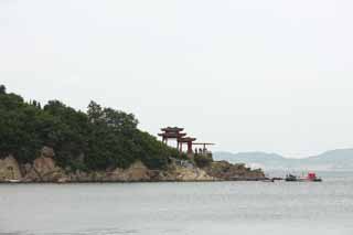 photo, la matire, libre, amnage, dcrivez, photo de la rserve,Mt. Yantai Yantai, visiter des sites pittoresques tache, Un arbre, plage, recours