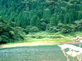 ,,, ,,,ike - ga Otama., Hakone., ., .  , .  