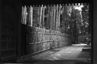 photo,material,free,landscape,picture,stock photo,Creative Commons,Japanese style alley, bamboo, stone pavement, gate, 