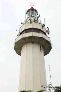 Foto, materieel, vrij, landschap, schilderstuk, bevoorraden foto,Mt. Yantai Vuurtoren, Bezoekende touristenplaats stip, Moderne architectuur, Gedenkteken winkel, Vakantieoord