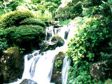 fotografia, materiale, libero il panorama, dipinga, fotografia di scorta,Cascata, Hakone, Himenosawa, cascata, 