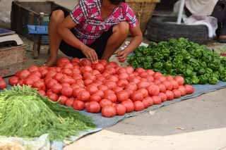 fotografia, material, livra, ajardine, imagine, proveja fotografia,Um mercado de lucro vermelho fundo, mercado, baia de rua, Fazendo compras, Vida