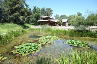 Foto, materiell, befreit, Landschaft, Bild, hat Foto auf Lager,Das bersommern von Gebirgshtte xiang Yan yi qing, Eine Welle, Poesie, Kanayama-Insel, Ch'ing