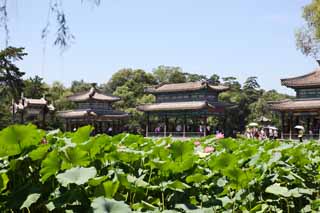 photo,material,free,landscape,picture,stock photo,Creative Commons,Summering mountain cottage ShuiXinPavilion, lotus, Rich coloring, Is it a bower?, Ch'ing